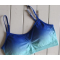 Champion Double Dry Sports Bra with Padded